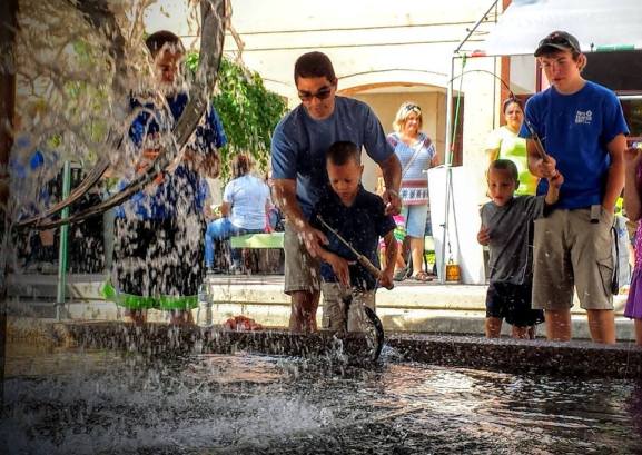 13709990_10153825749718505_8537246419868093238_n