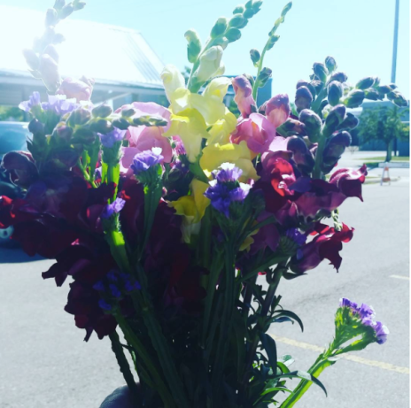 Screen Shot 2016-07-24 at 5.27.01 PM