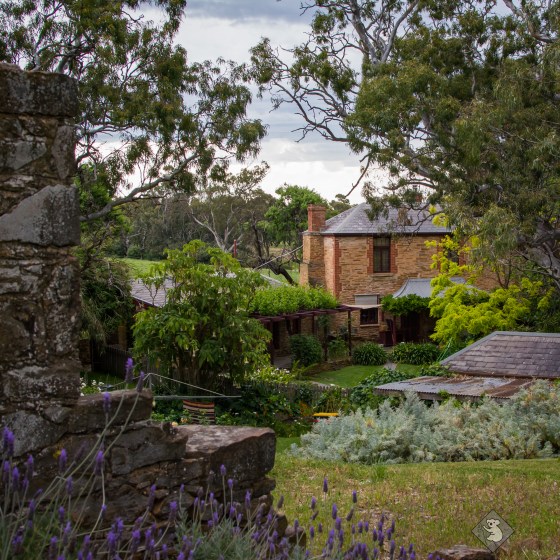 norbertsvisitadl_nov2016-0212